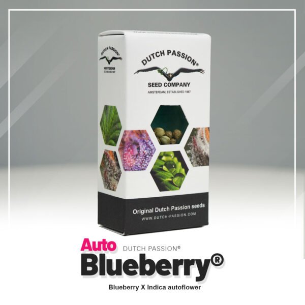 Auto Blueberry®