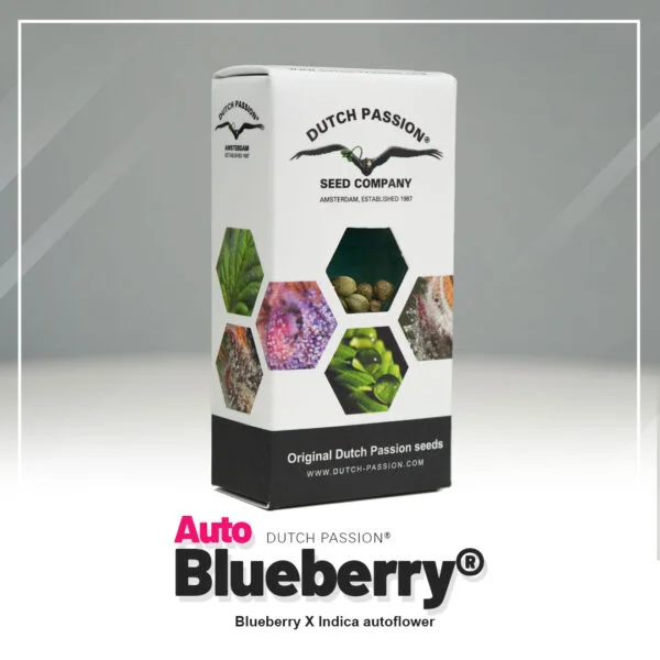 Auto Blueberry®