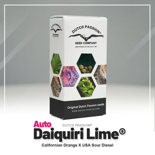 Auto Daiquiri Lime®