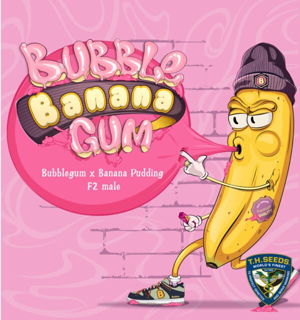 BubbleBananaGum - Imagem 3