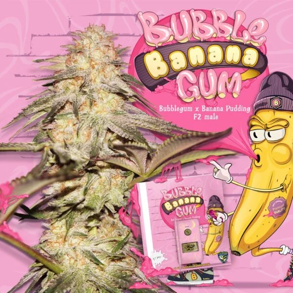 BubbleBananaGum