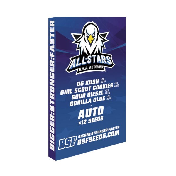 All Stars - Imagem 3