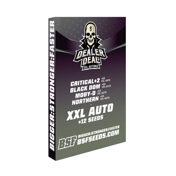 Dealer Deal XXL - Imagem 3
