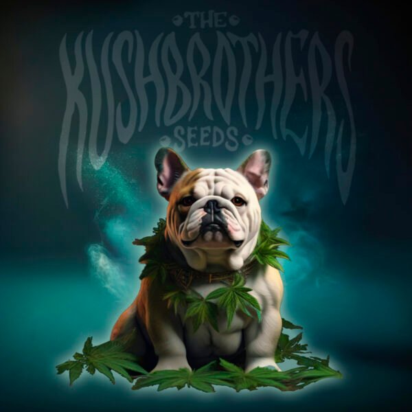 Dosidog