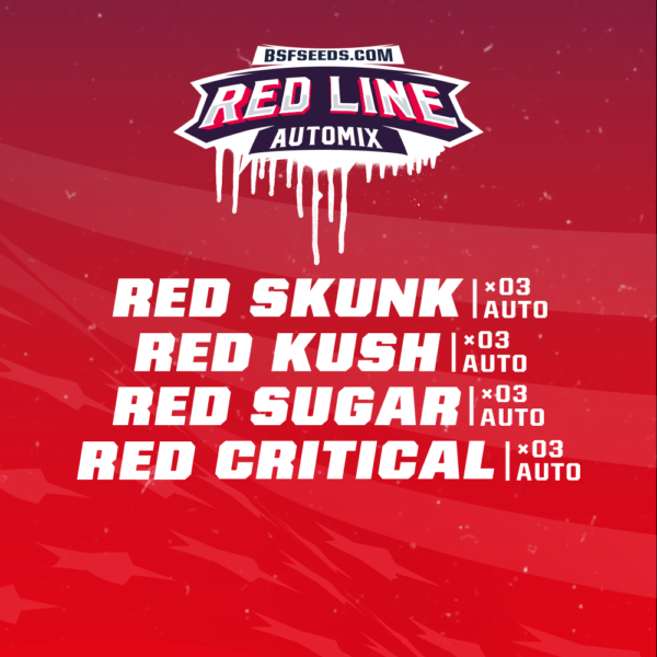 Red Line XXL - Imagem 2