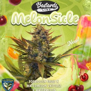 MelonSicle