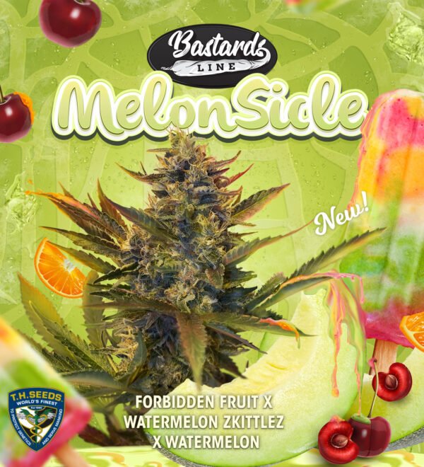 MelonSicle