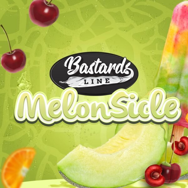 MelonSicle - Imagem 2