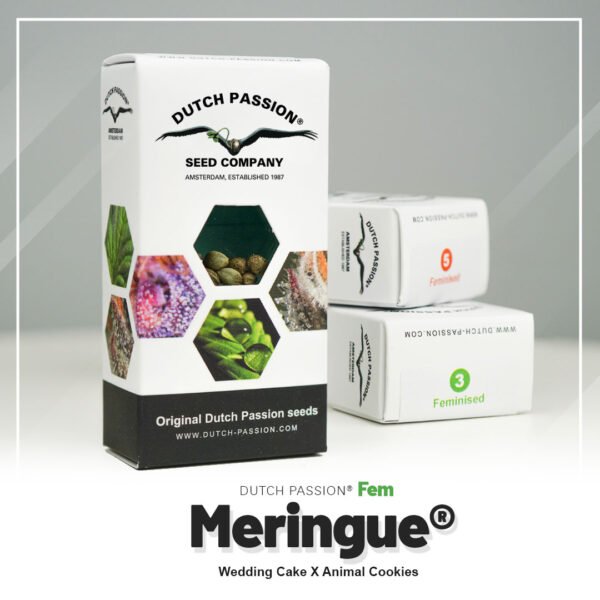 Meringue®