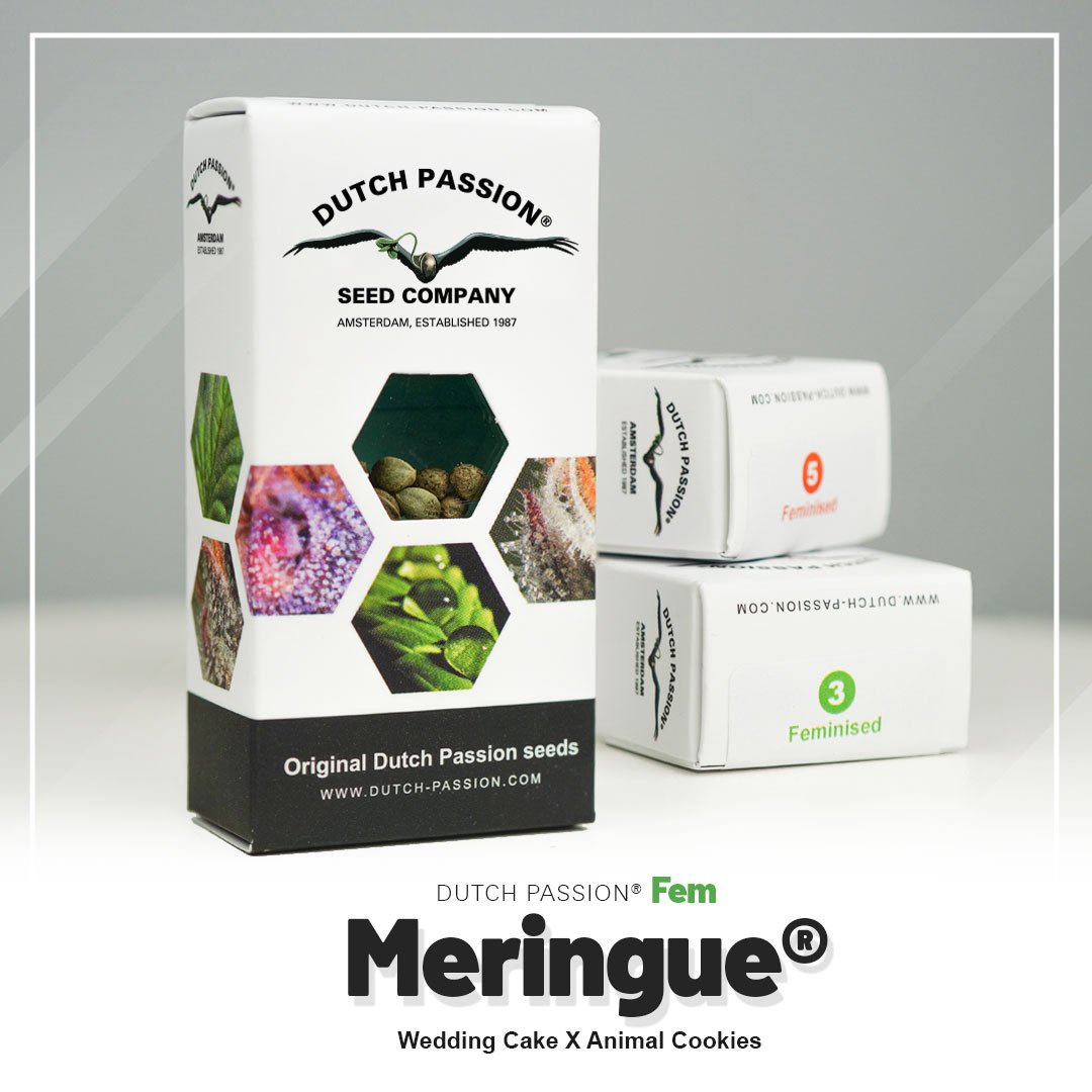 Meringue®