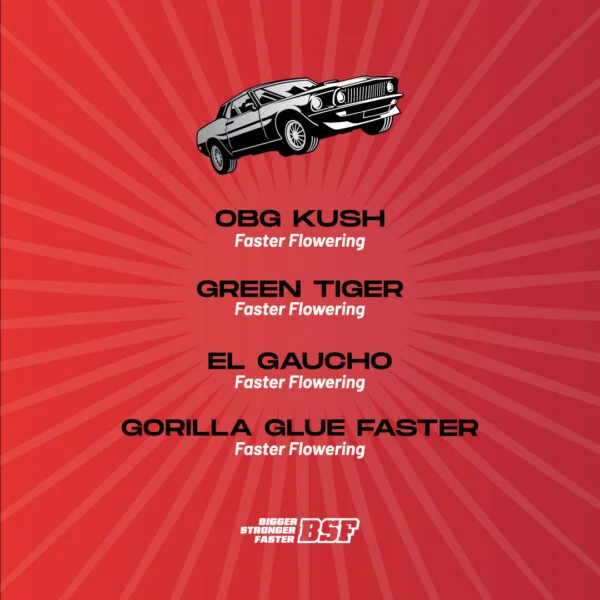 Faster and Furious - Imagem 2