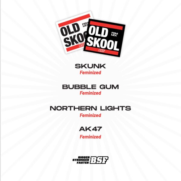 Old Skool Mix - Imagem 2