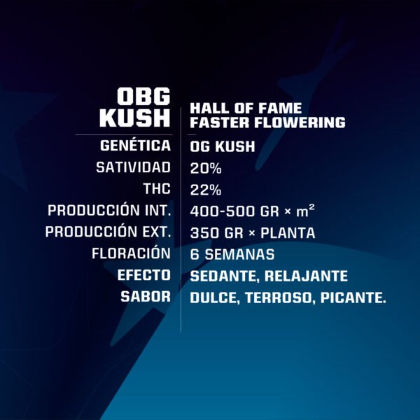 OBG Kush - Imagem 2
