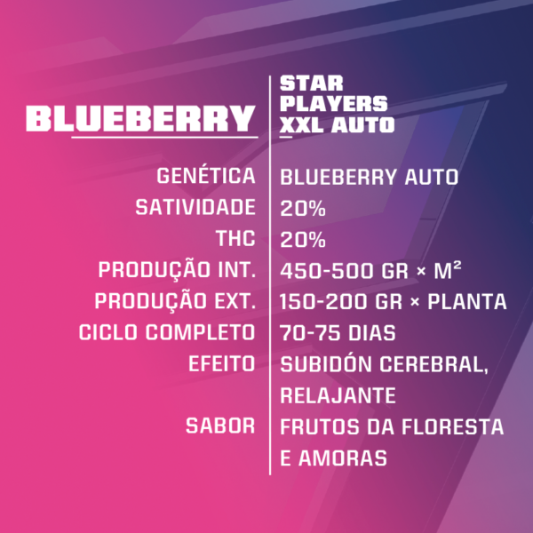 Blue Berry Auto XXL - Imagem 2