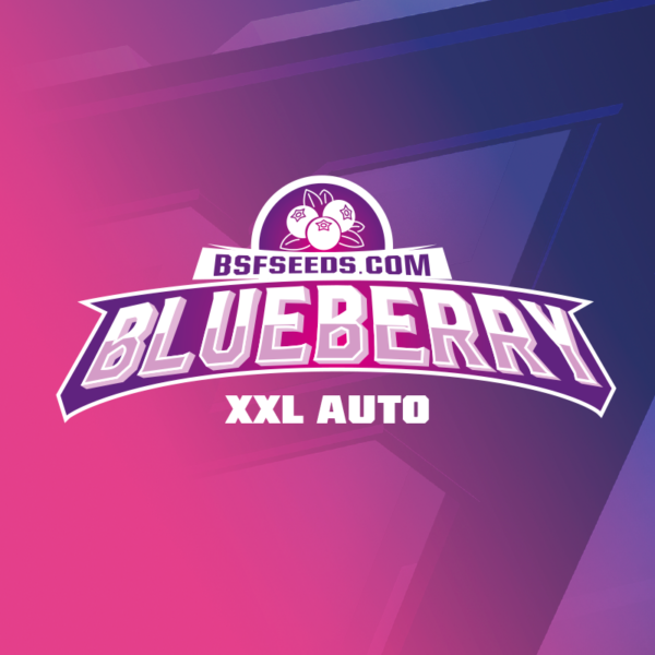 Blue Berry Auto XXL