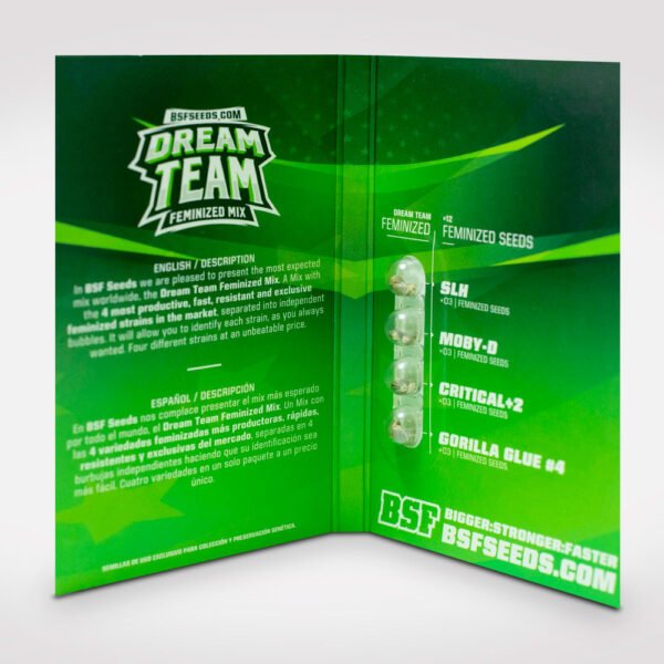 Dream Team - Imagem 4