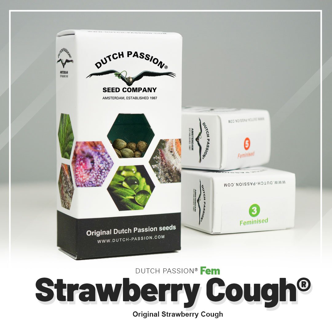Strawberry Cough®