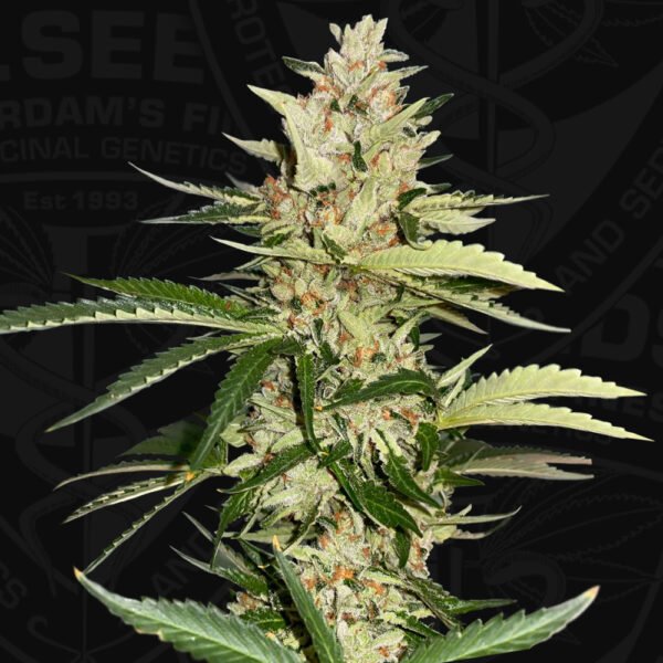 Banana Candy Krush - Imagem 2