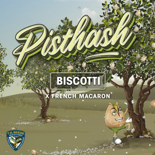 Pisthash - Imagem 2