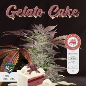 Gelato Cake
