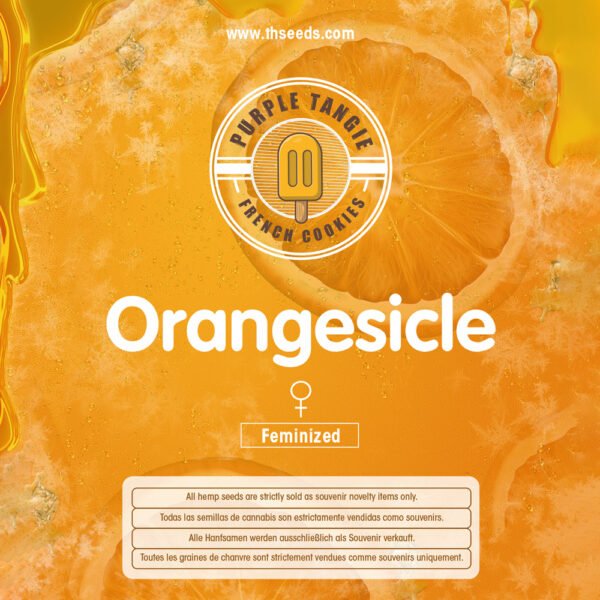 Orangesicle - Imagem 3