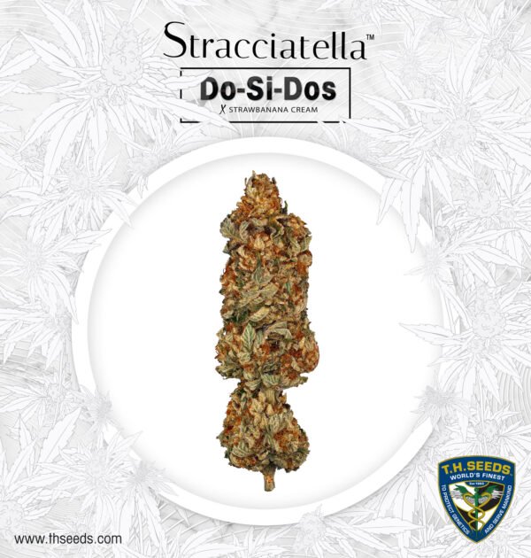 Stracciatella™