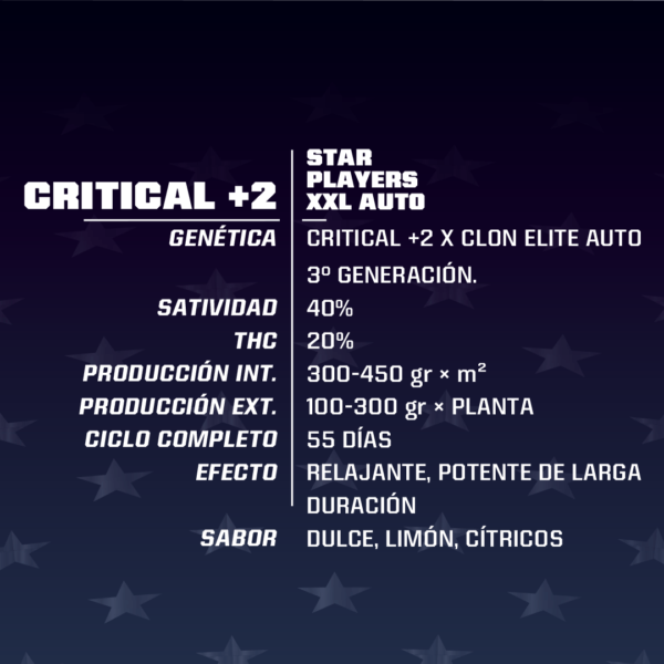 Critical+2 XXL Auto