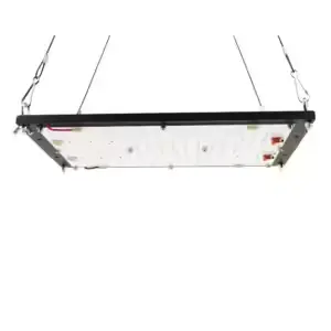 Quantum Board 150w Samsung LM301H - Cobraleds Grow Shop