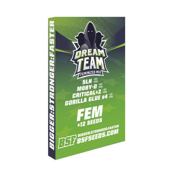 Dream Team - Imagem 3