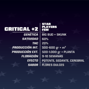 Critical+2