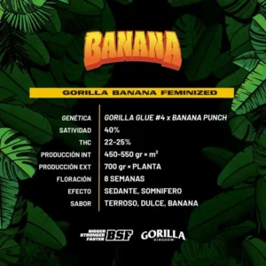 Gorilla Banana