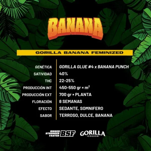 Gorilla Banana