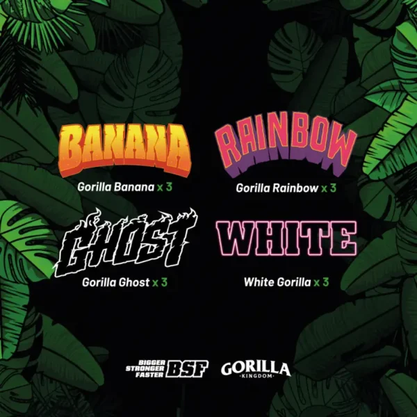 Gorilla Familia - Imagem 2