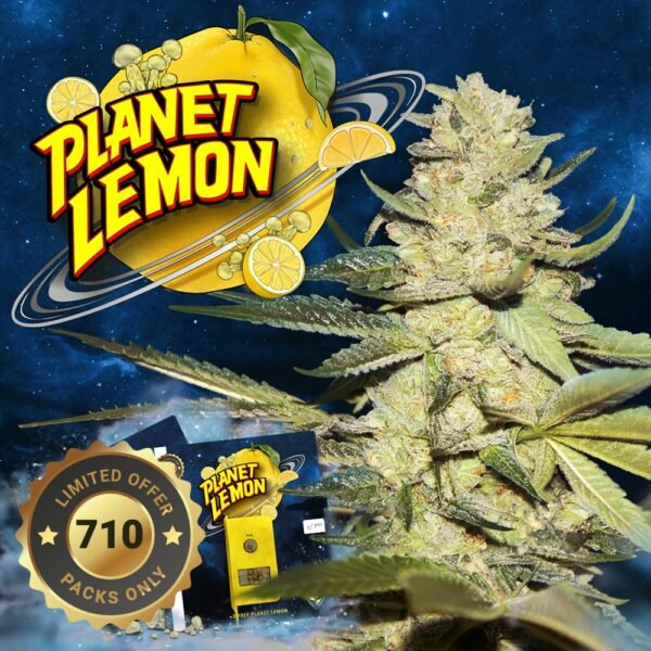 Planet Lemon - Imagem 2