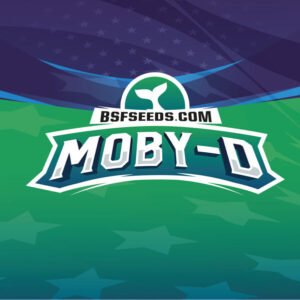 Moby D