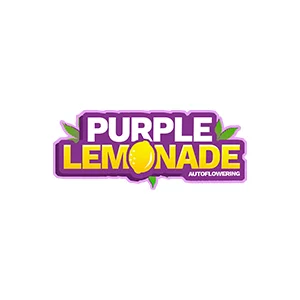Purple Lemonade Auto