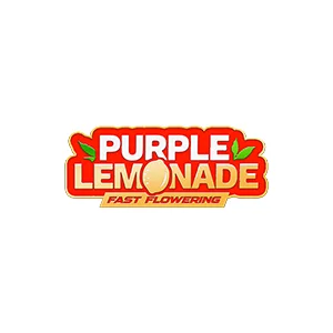 Purple Lemonade FF