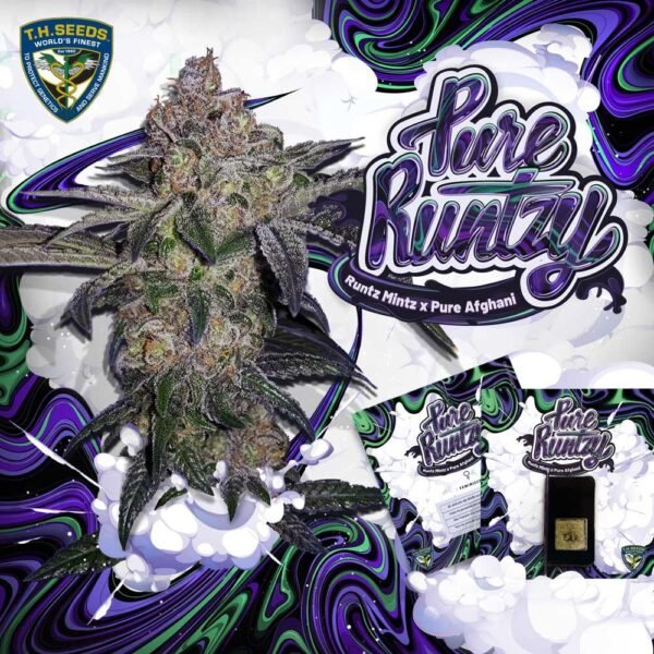 Pure Runtzy