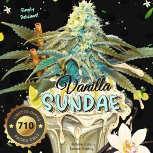 Vanilla Sundae