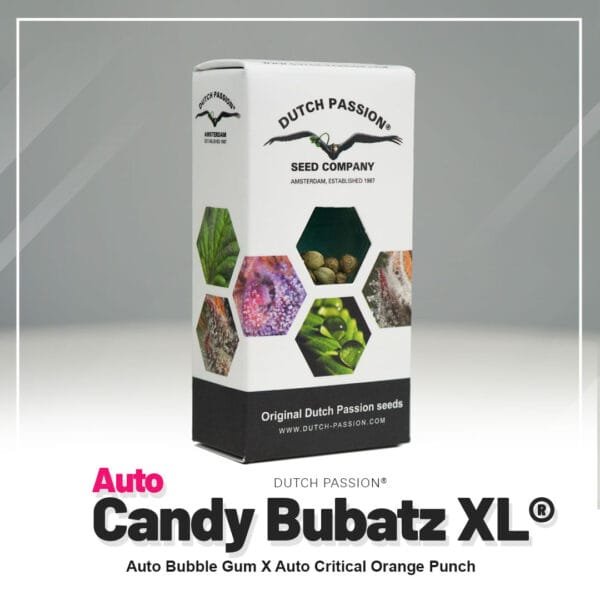 Auto Candy Bubatz XL®