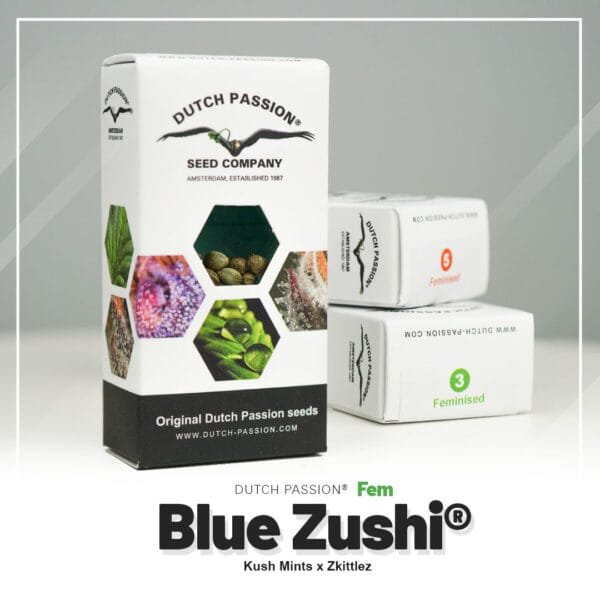 Blue Zushi