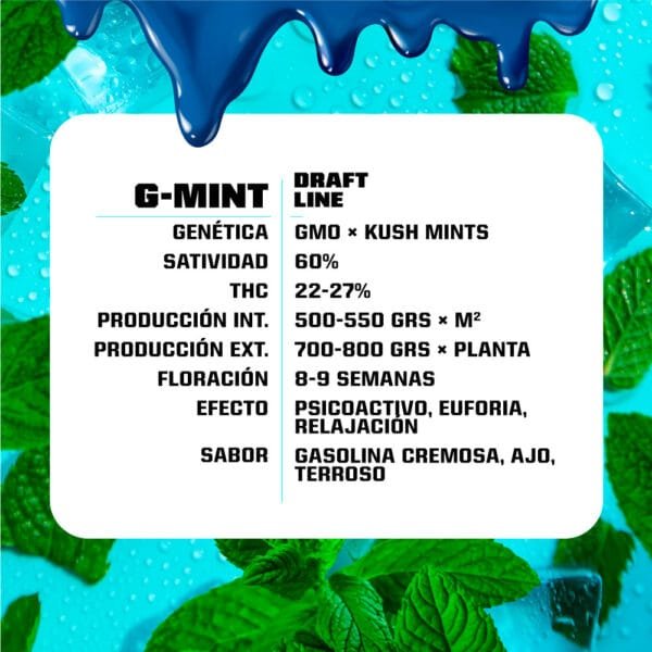 G-Mint - Imagem 2