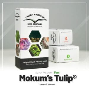 Mokum’s Tulip®