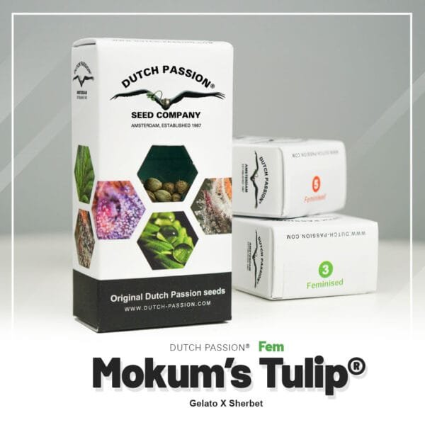 Mokum’s Tulip®