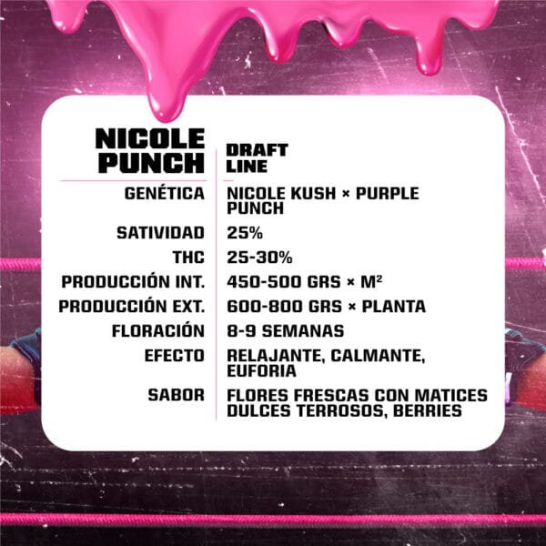 Nicole Punch - Imagem 2