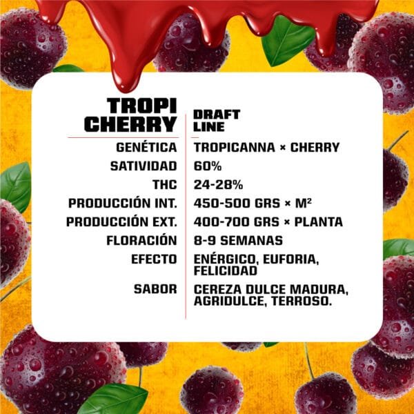 Tropicherry - Imagem 2