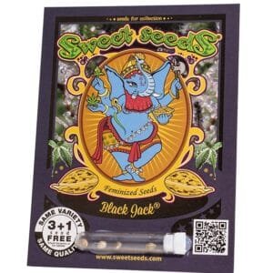 Black Jack®