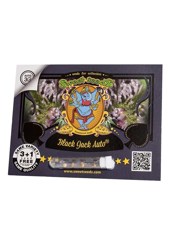 Black Jack Auto®