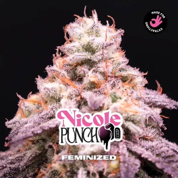 Nicole Punch - Imagem 3