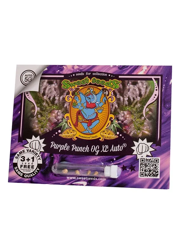Purple Punch OG XL Auto®